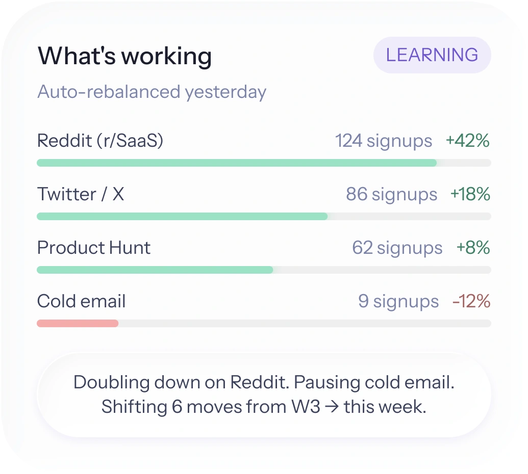 HeyCatch learning view: per-channel signups with weekly auto-rebalance summary.
